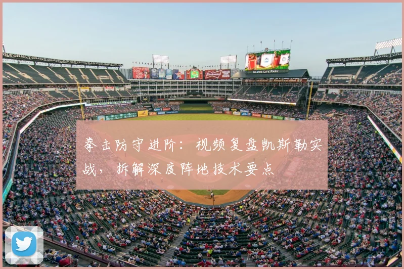 拳击防守进阶:视频复盘凯斯勒实战,拆解深度阵地技术要点
